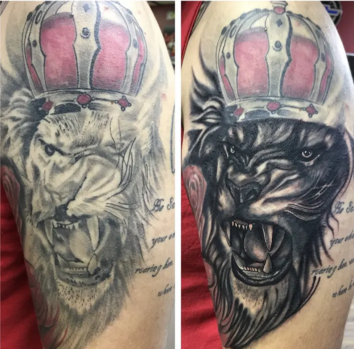 lion cover up